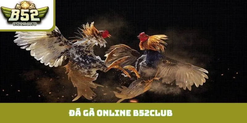đá gà online B52CLUB